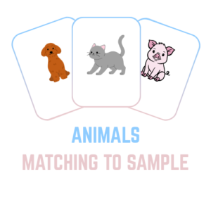 Sample Match Free Online Match to Sample Flashcards - 8Aba