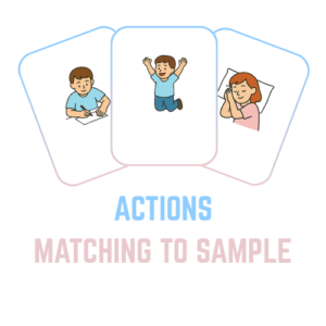 Free Online Match to Sample Flashcards - 8Aba